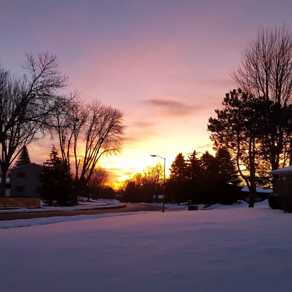 Meet your Posher, Tanya